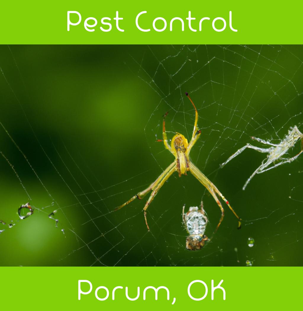 pest control in Porum Oklahoma