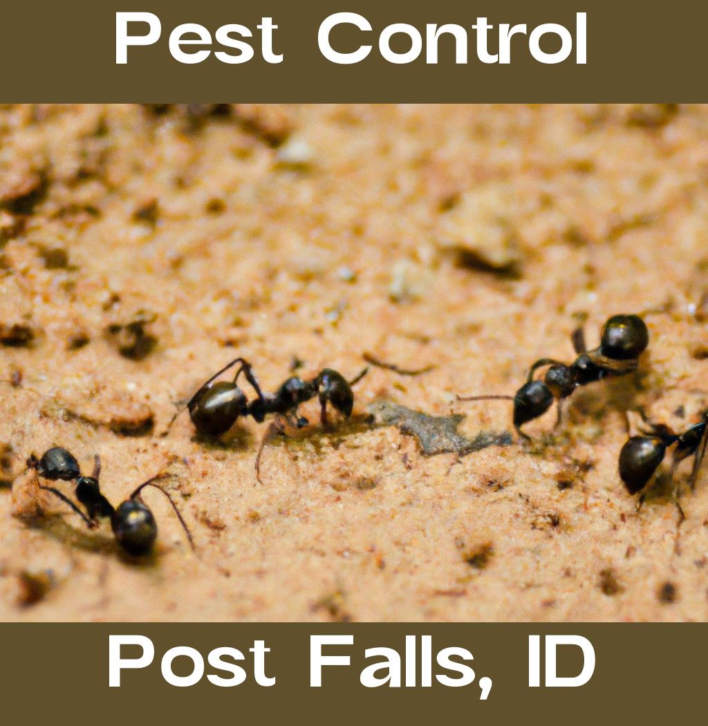 pest control in Post Falls Idaho