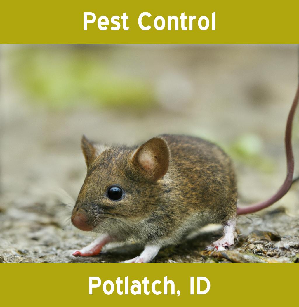 pest control in Potlatch Idaho