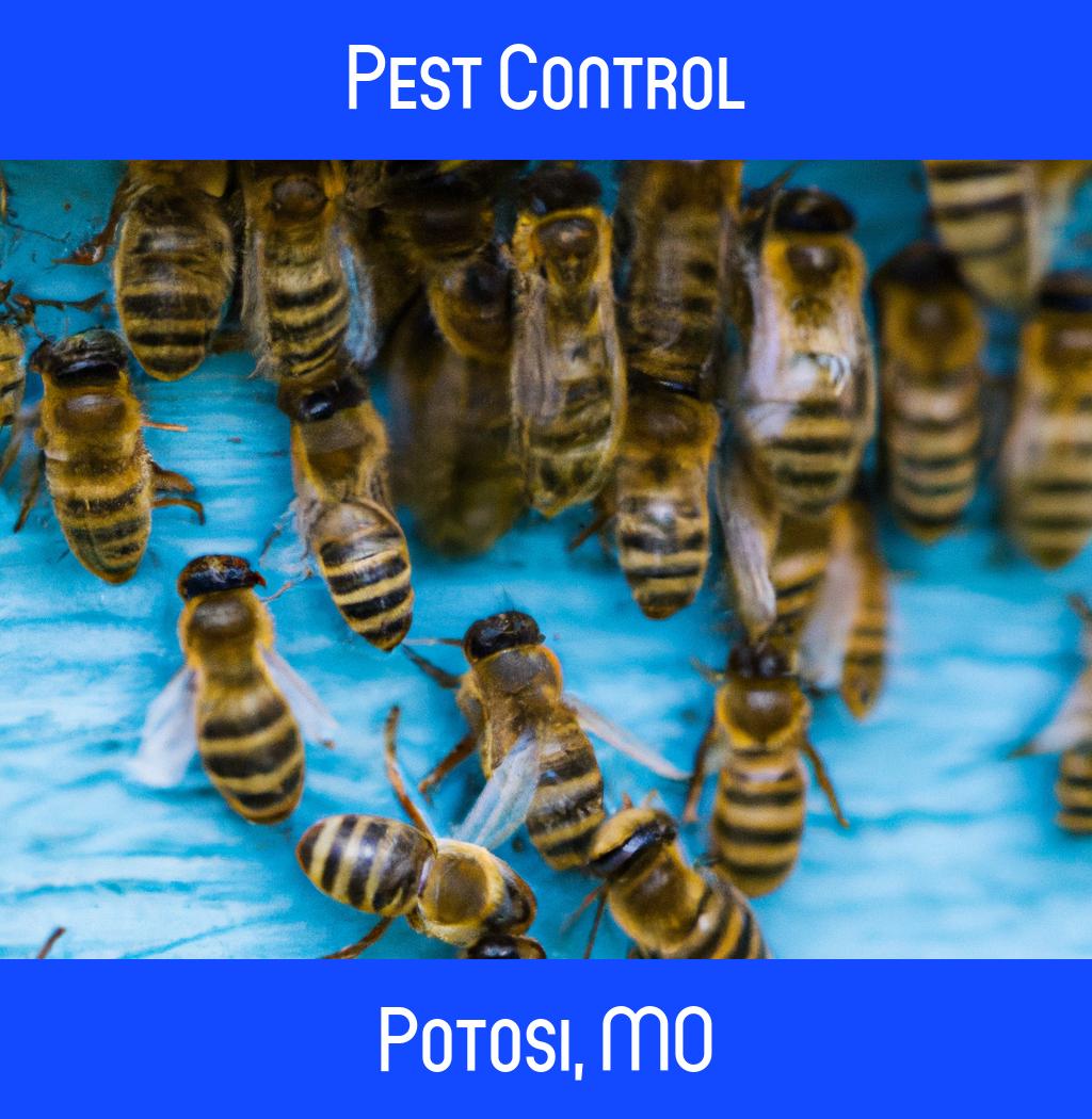 pest control in Potosi Missouri