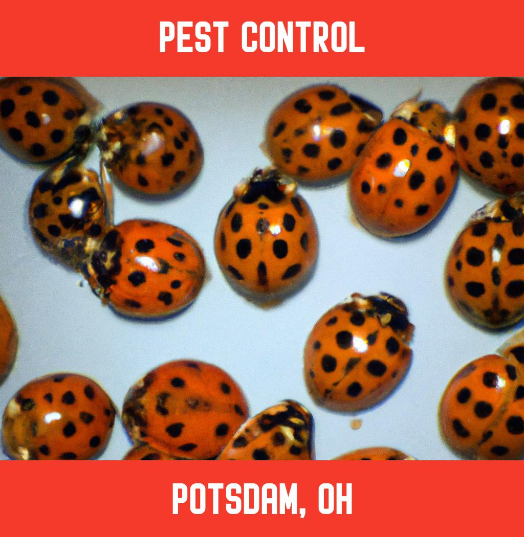 pest control in Potsdam Ohio
