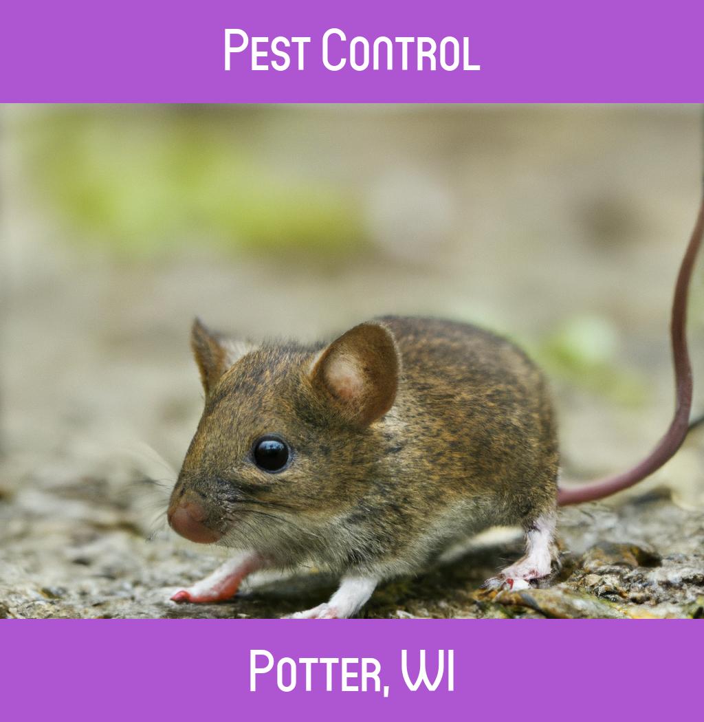 pest control in Potter Wisconsin