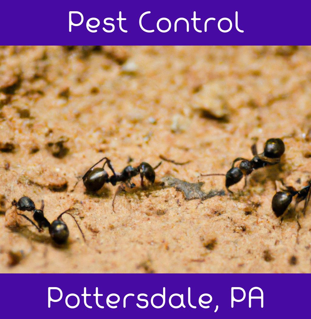 pest control in Pottersdale Pennsylvania