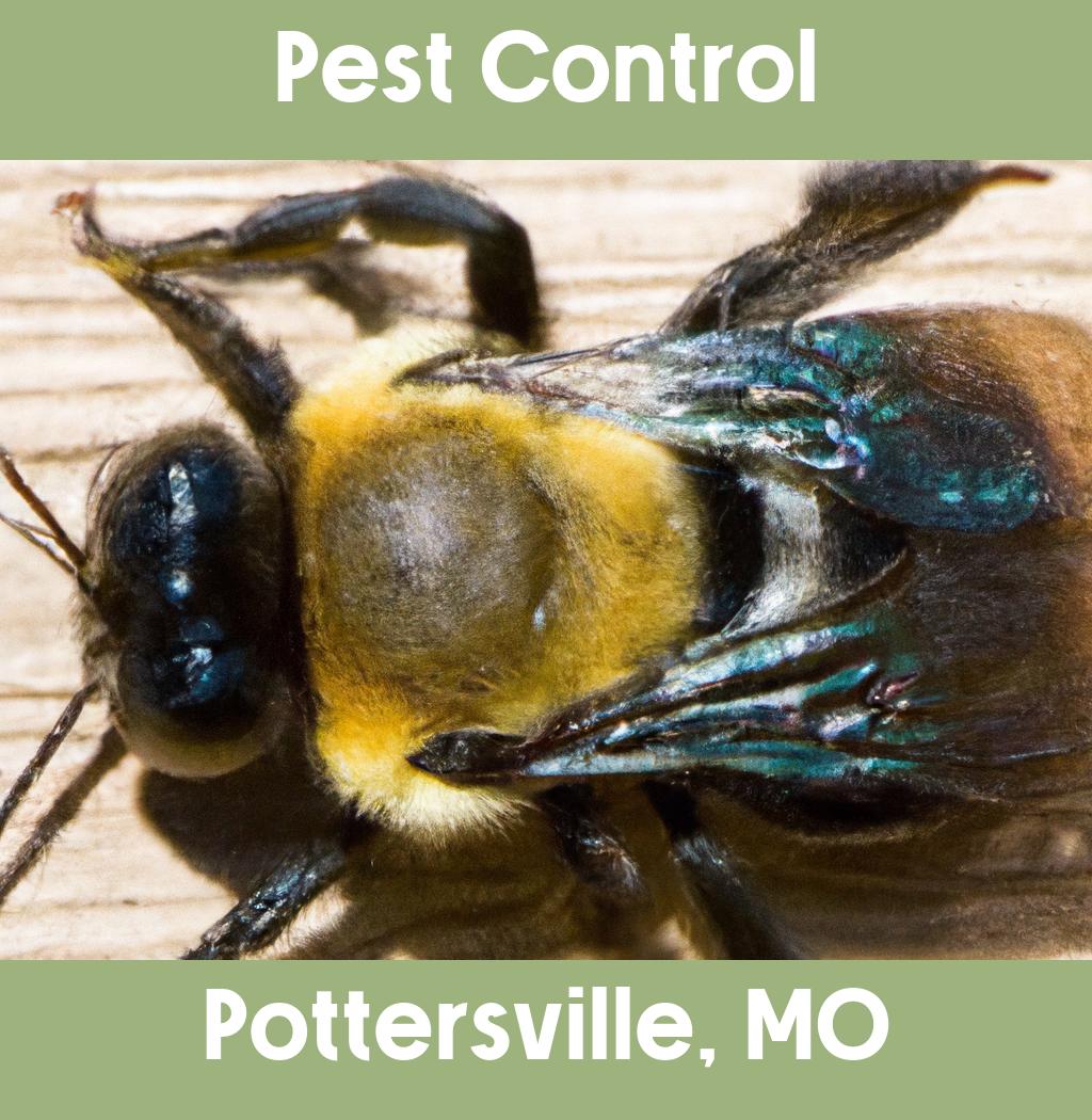 pest control in Pottersville Missouri