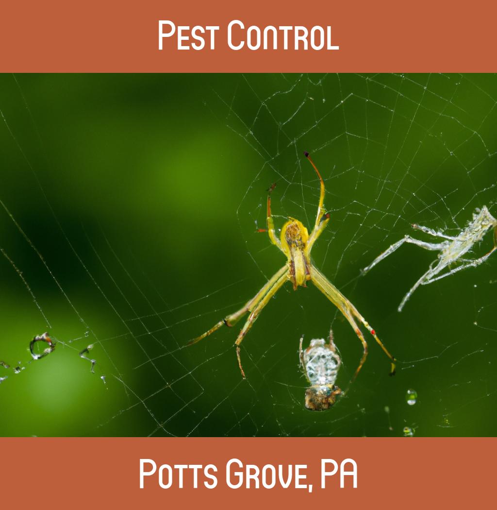 pest control in Potts Grove Pennsylvania