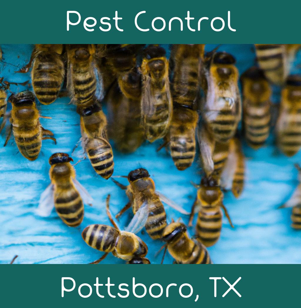 pest control in Pottsboro Texas