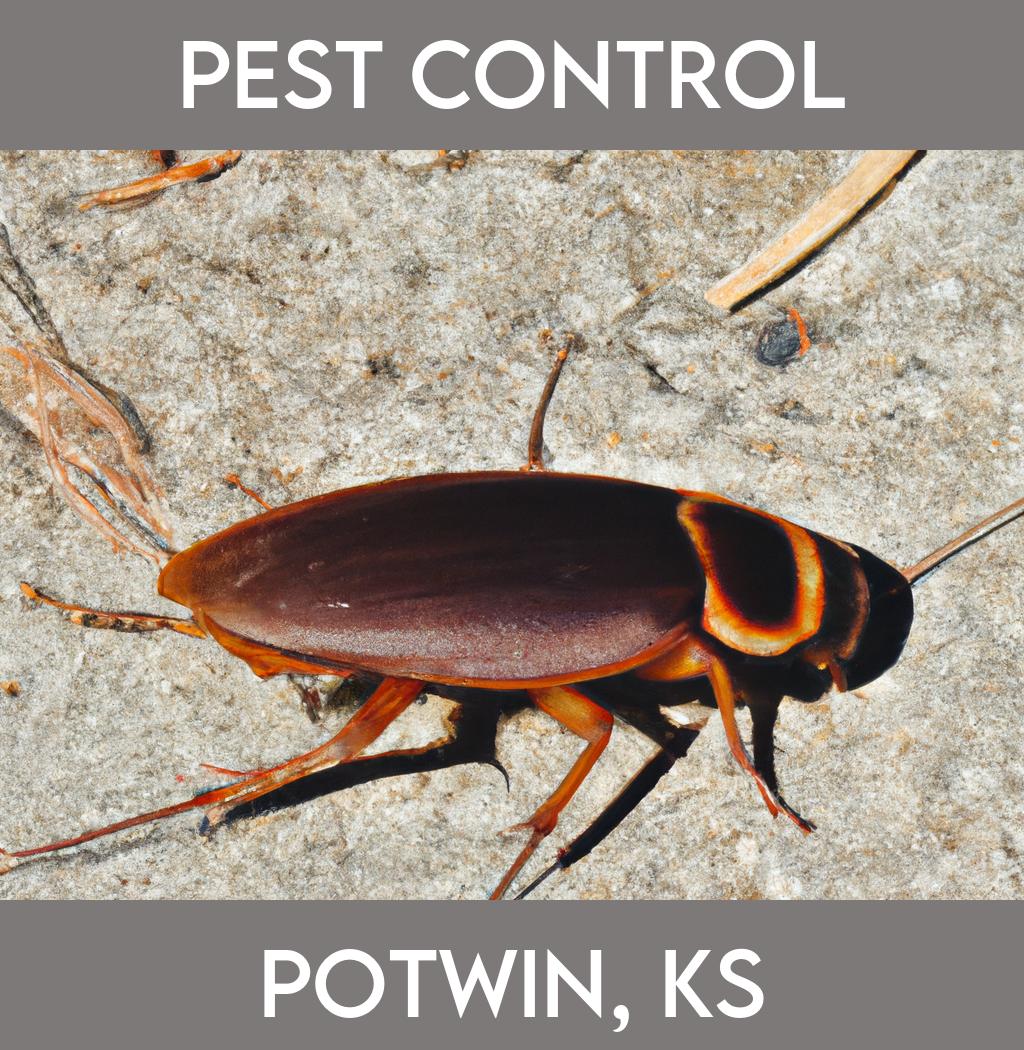 pest control in Potwin Kansas
