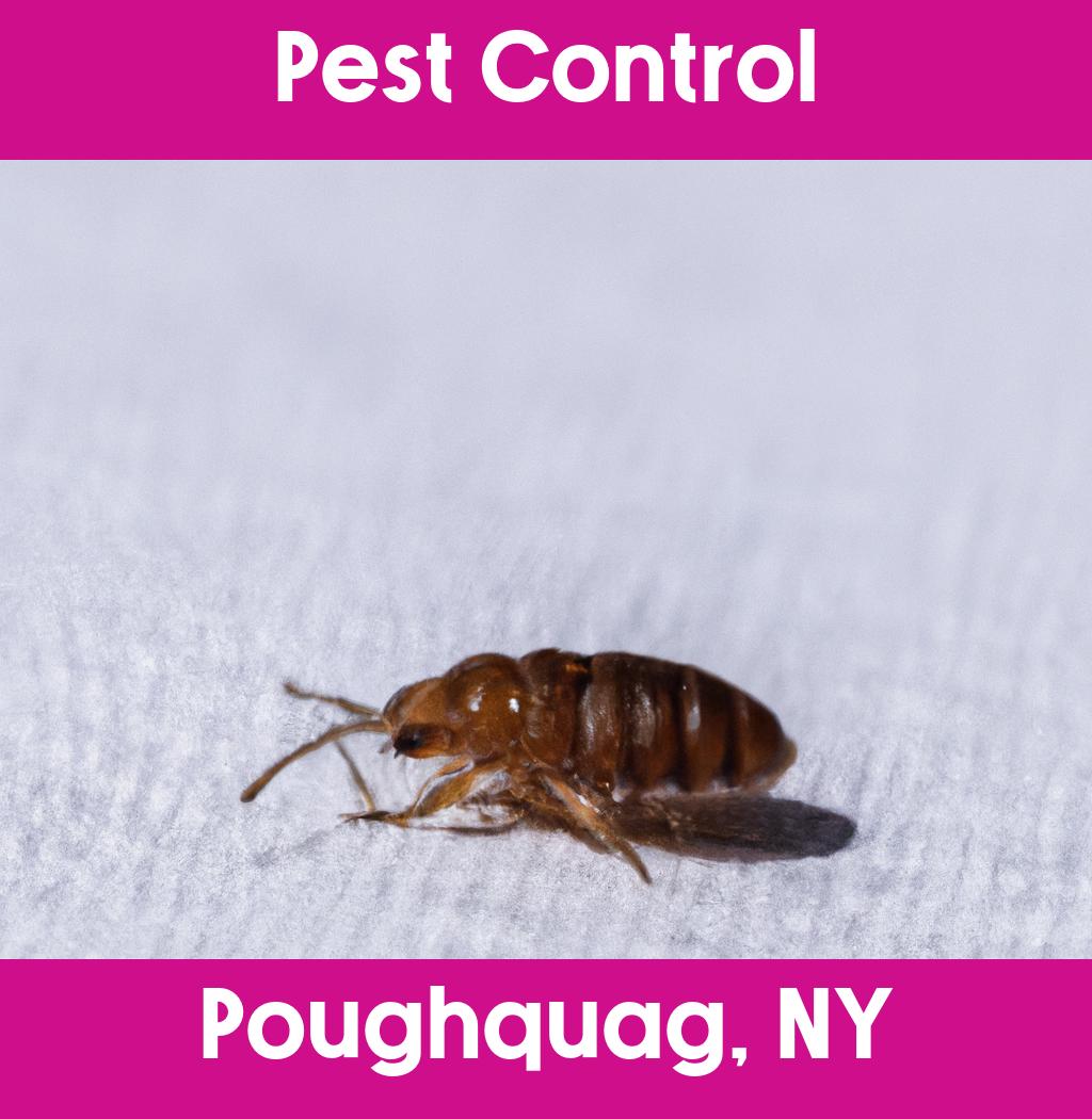 pest control in Poughquag New York