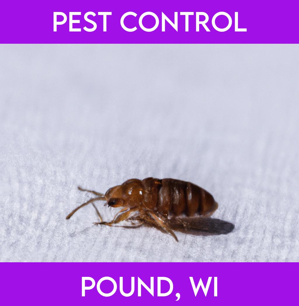 pest control in Pound Wisconsin