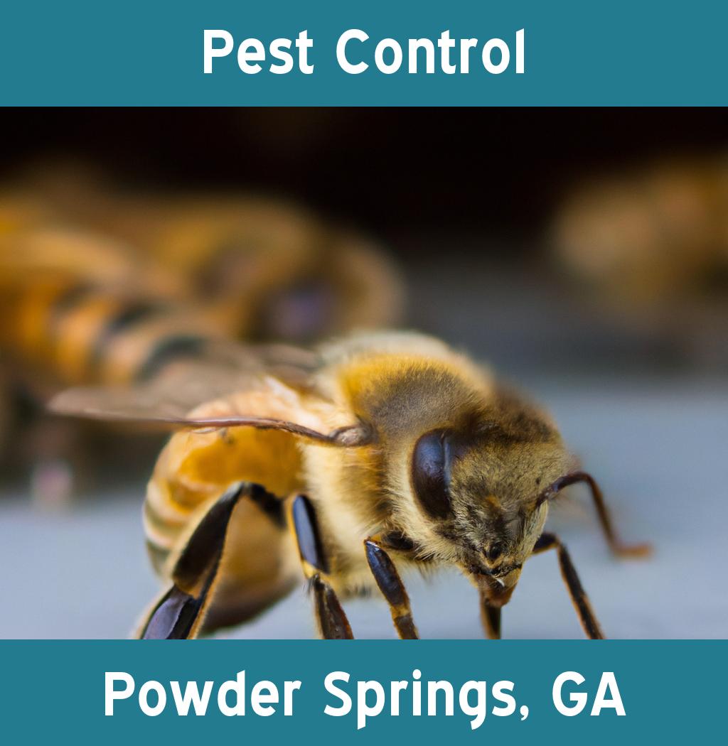 pest control in Powder Springs Georgia