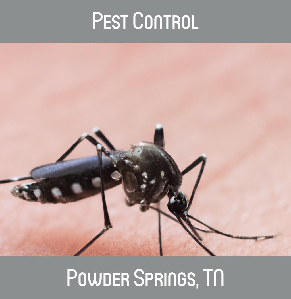 pest control in Powder Springs Tennessee