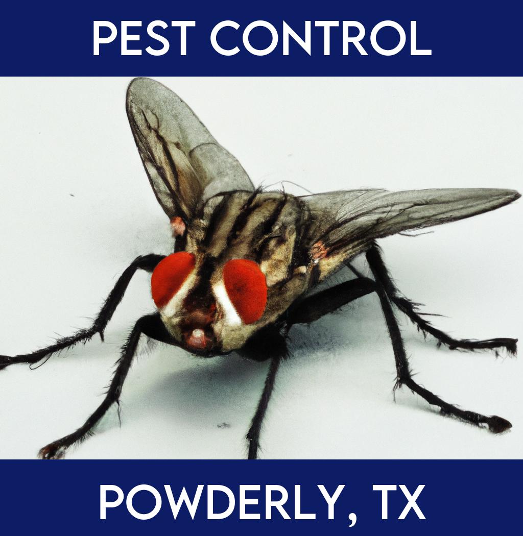 pest control in Powderly Texas
