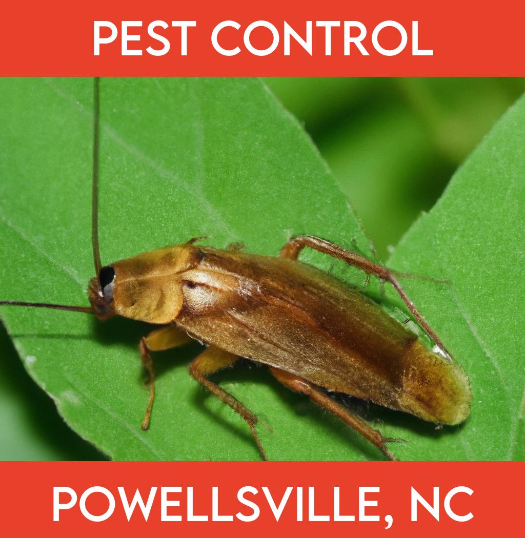 pest control in Powellsville North Carolina