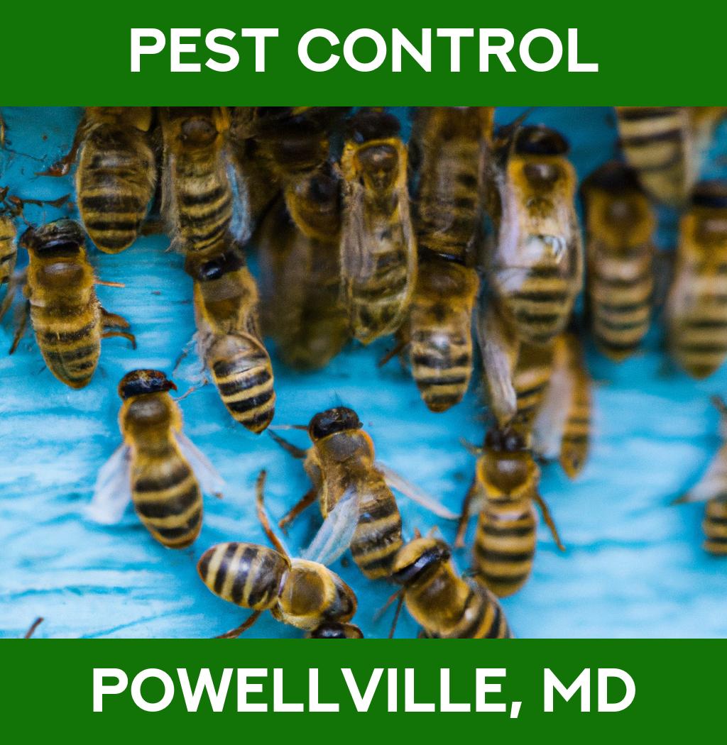 pest control in Powellville Maryland