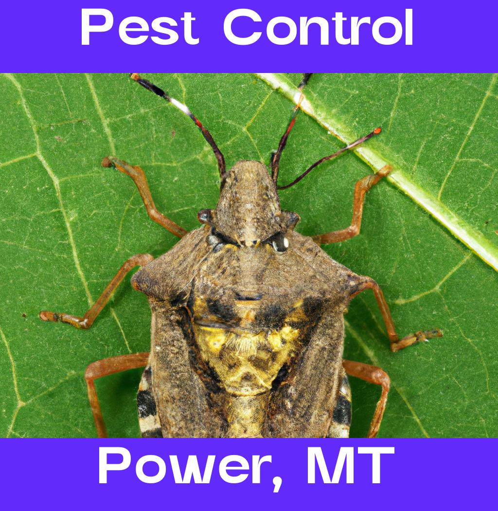 pest control in Power Montana