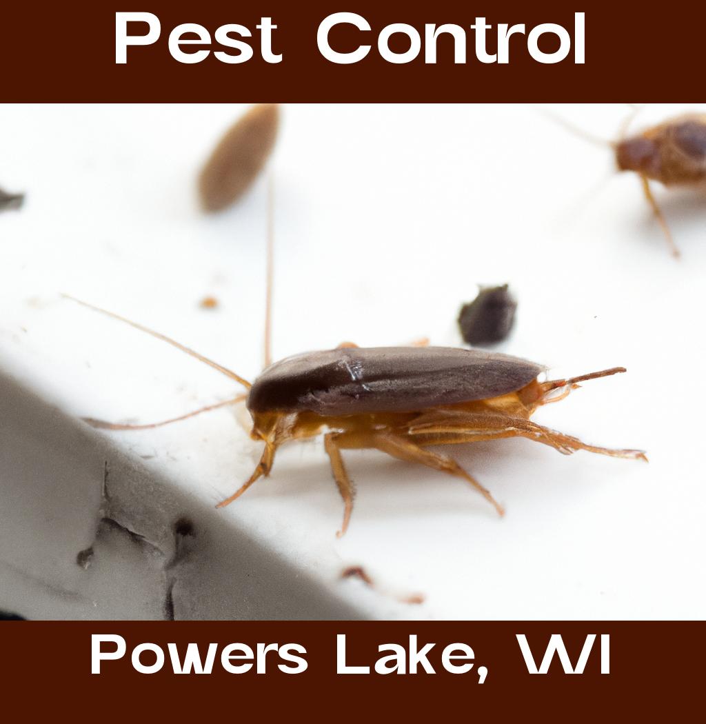 pest control in Powers Lake Wisconsin