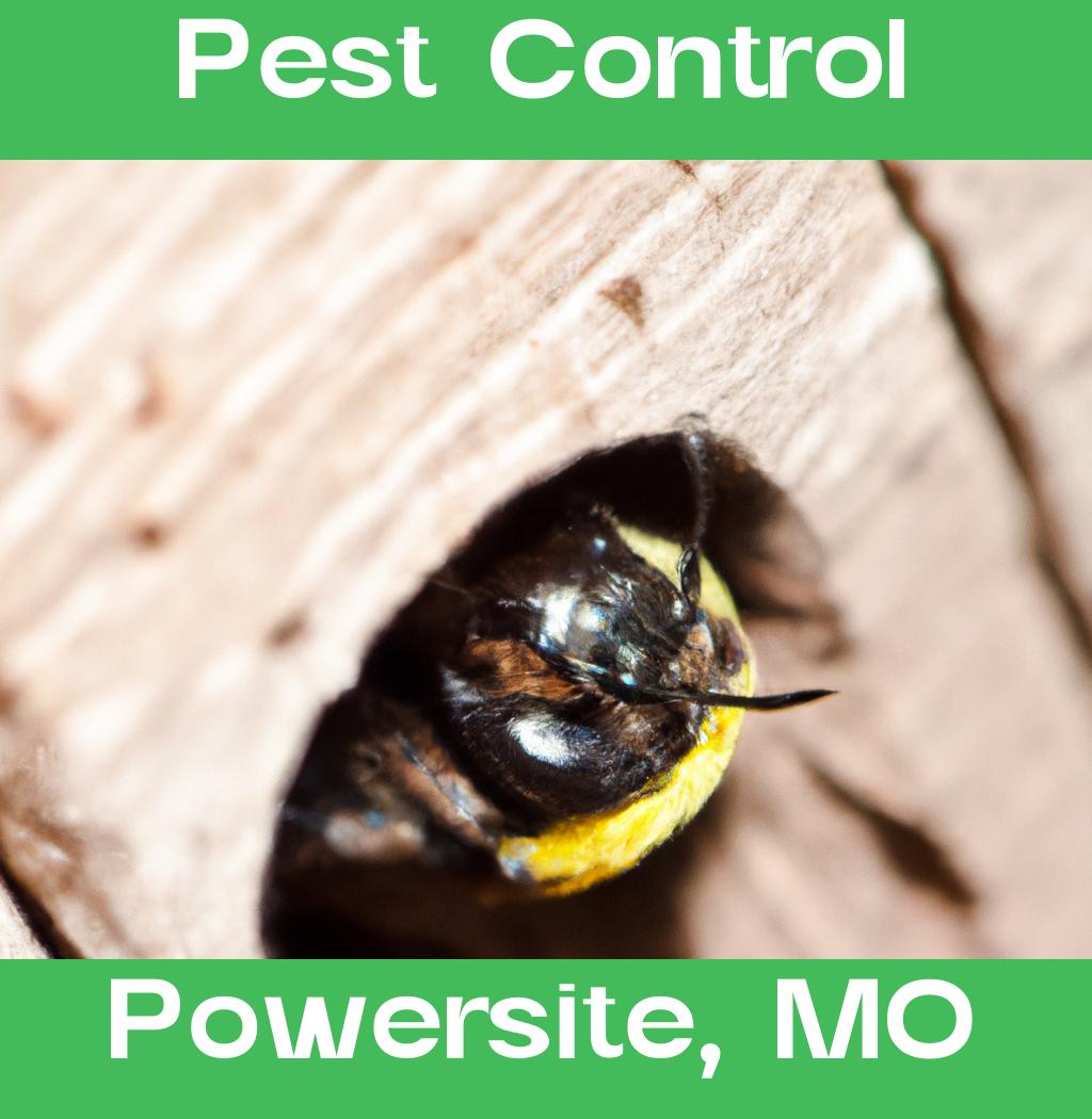pest control in Powersite Missouri