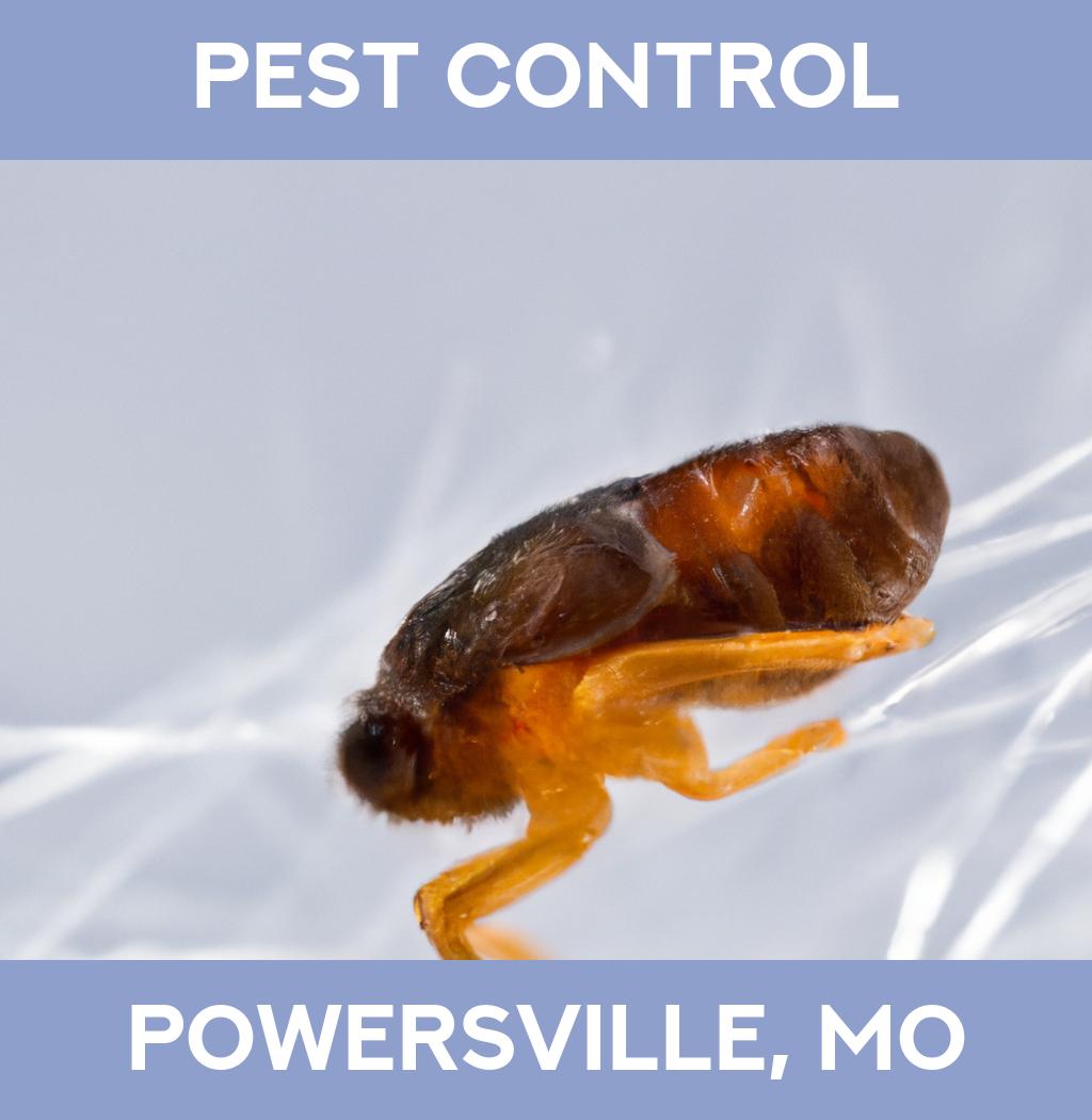 pest control in Powersville Missouri