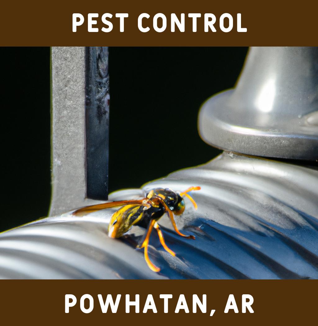pest control in Powhatan Arkansas