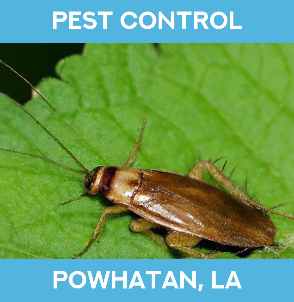 pest control in Powhatan Louisiana