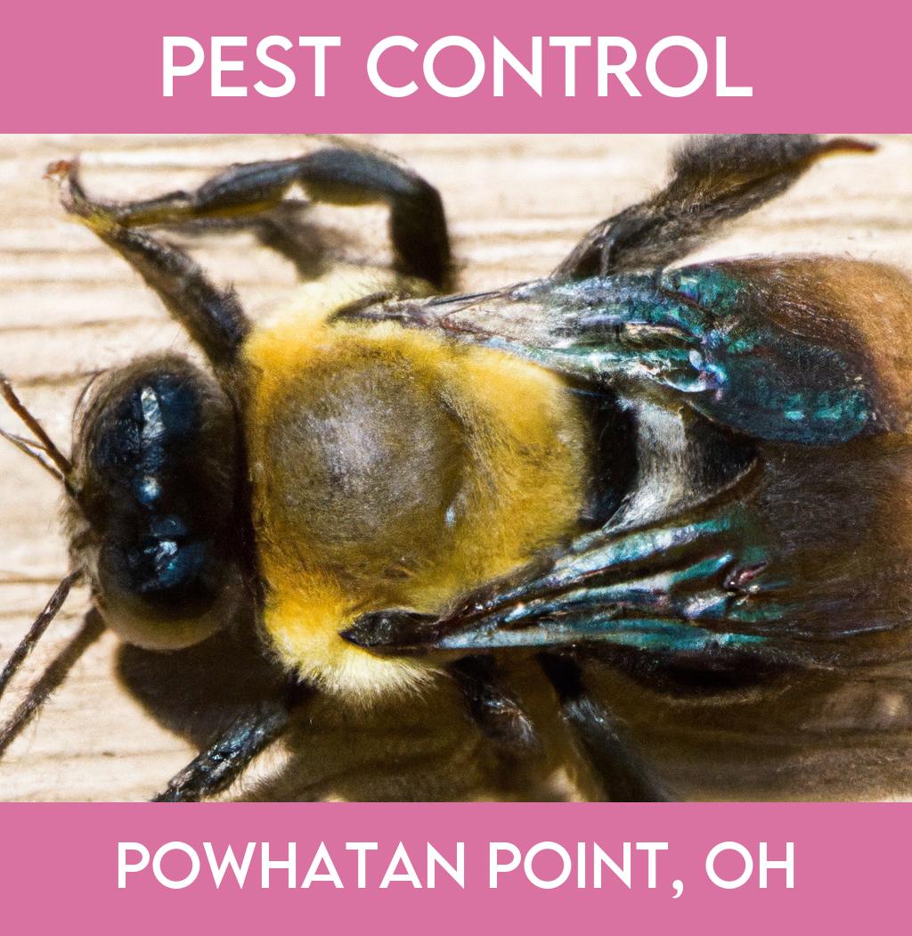 pest control in Powhatan Point Ohio