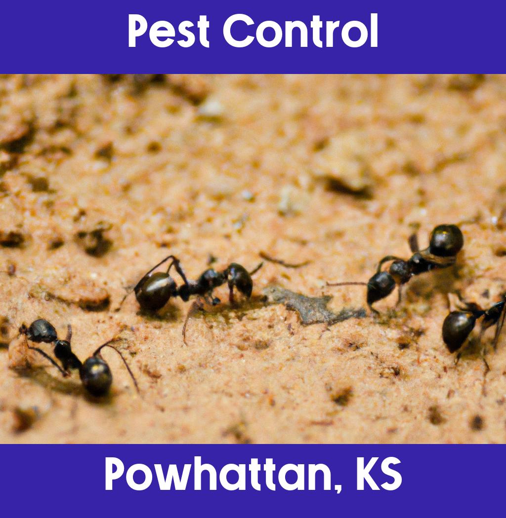 pest control in Powhattan Kansas