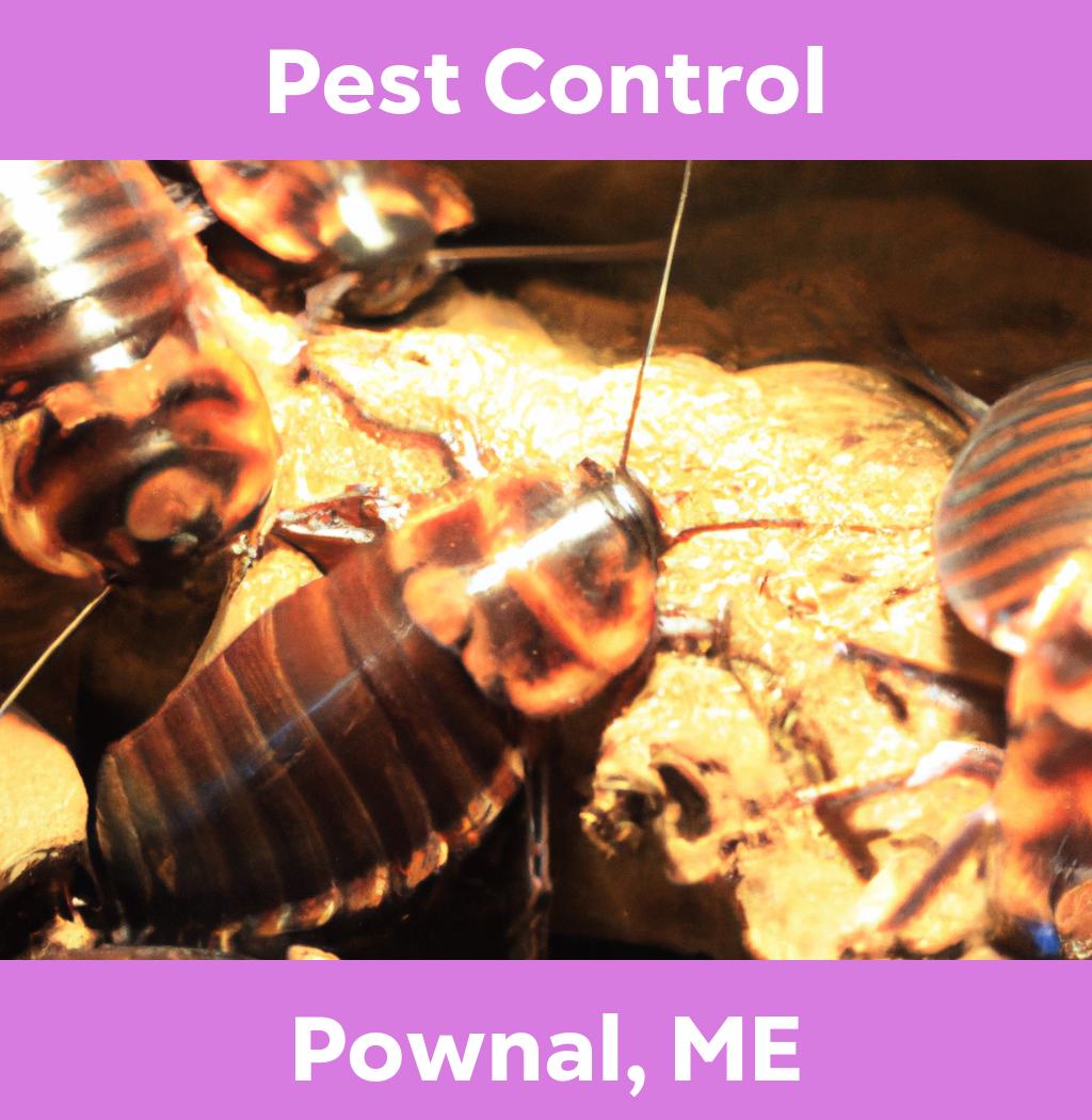 pest control in Pownal Maine