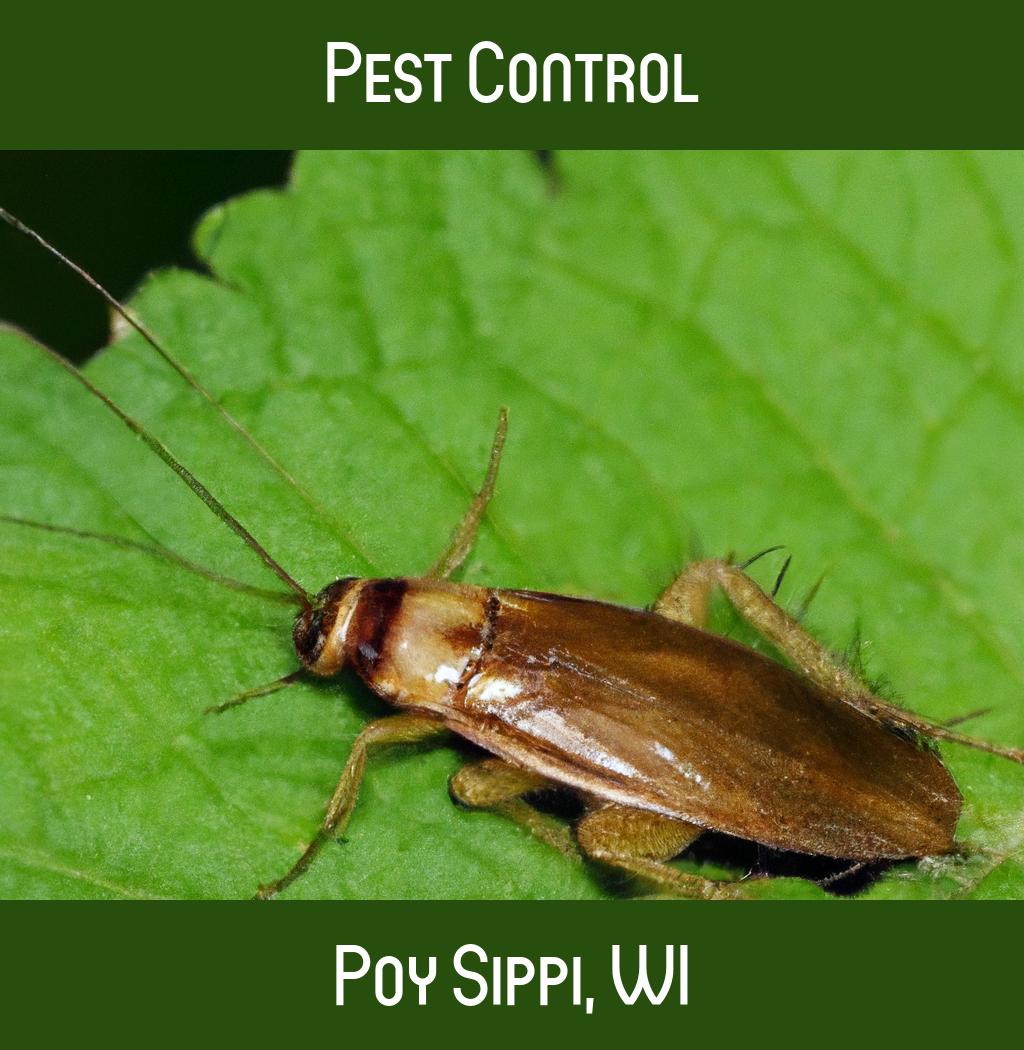 pest control in Poy Sippi Wisconsin