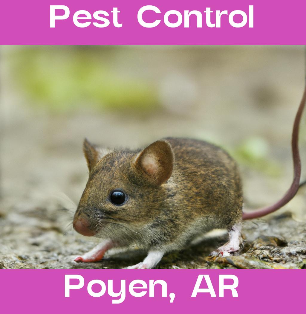 pest control in Poyen Arkansas