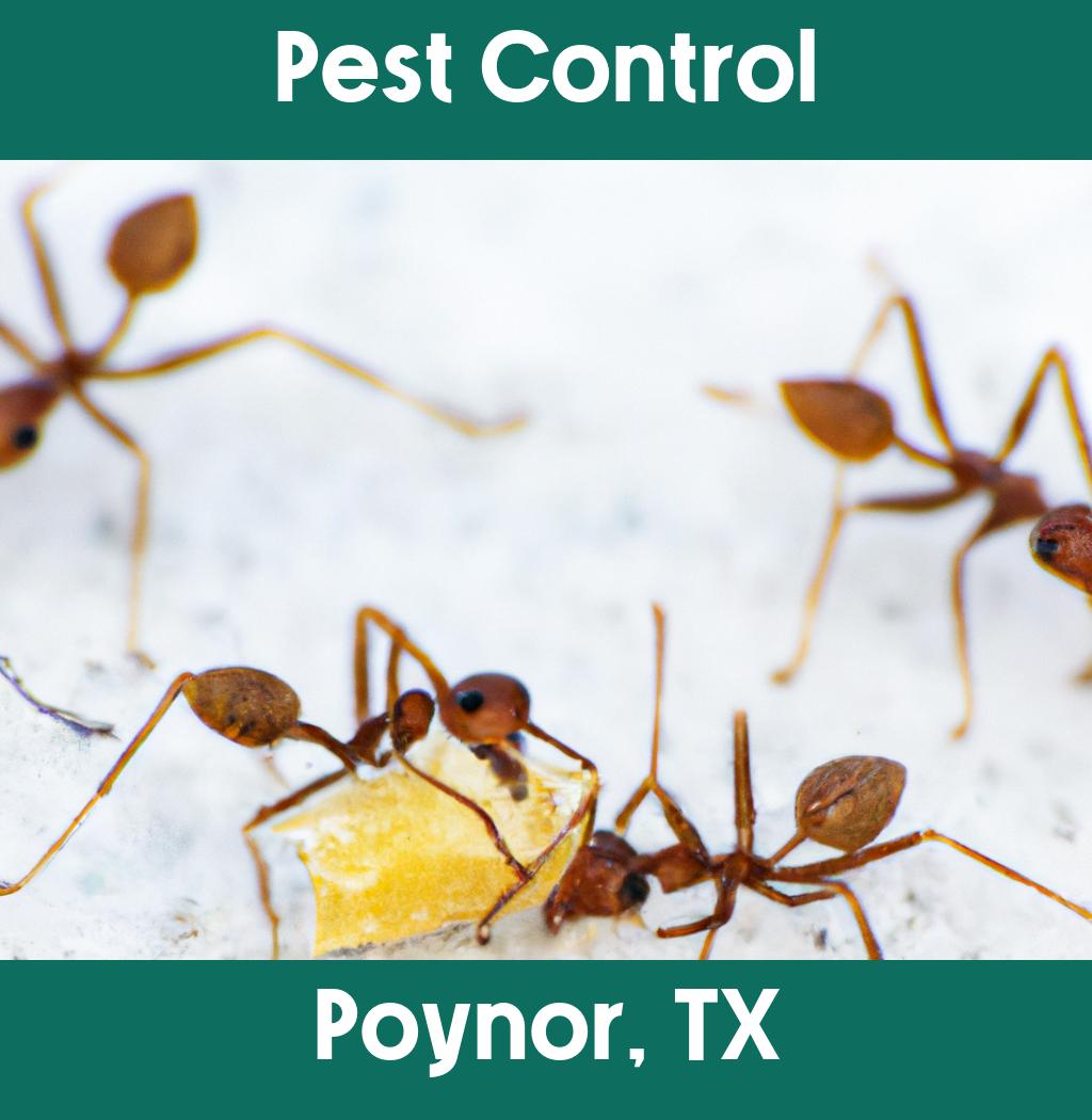 pest control in Poynor Texas