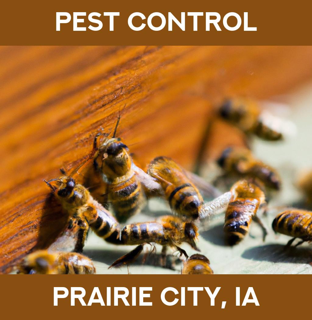 pest control in Prairie City Iowa