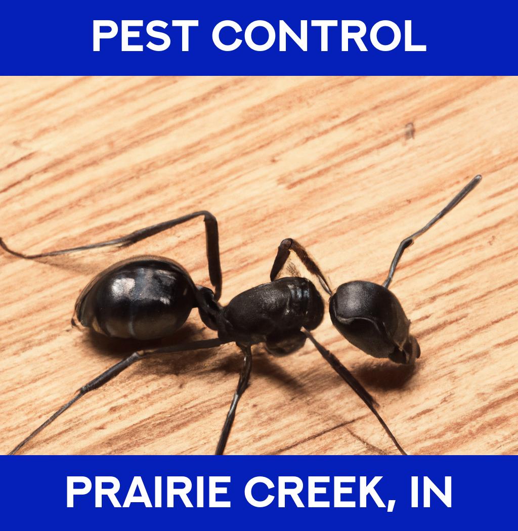 pest control in Prairie Creek Indiana