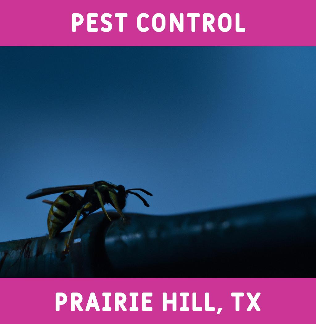 pest control in Prairie Hill Texas