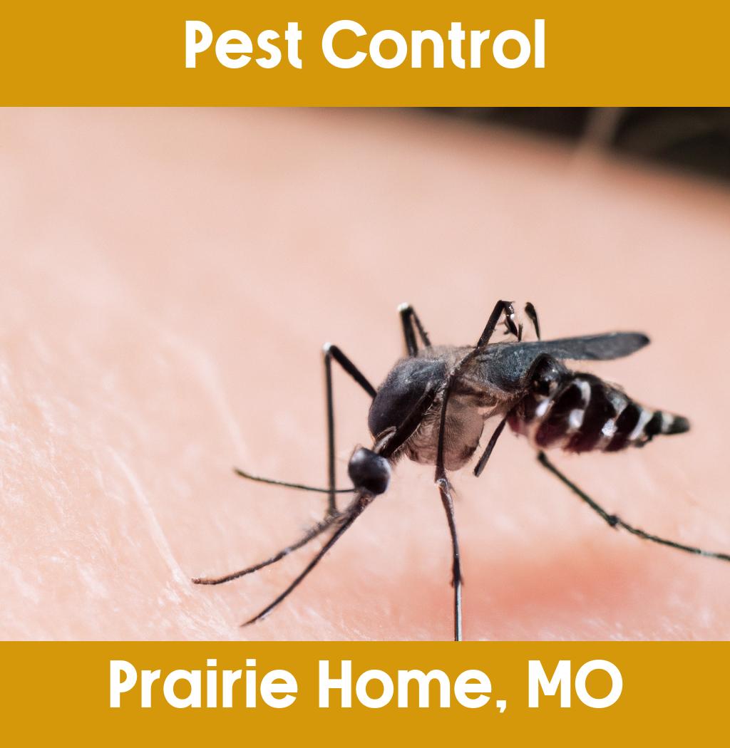 pest control in Prairie Home Missouri