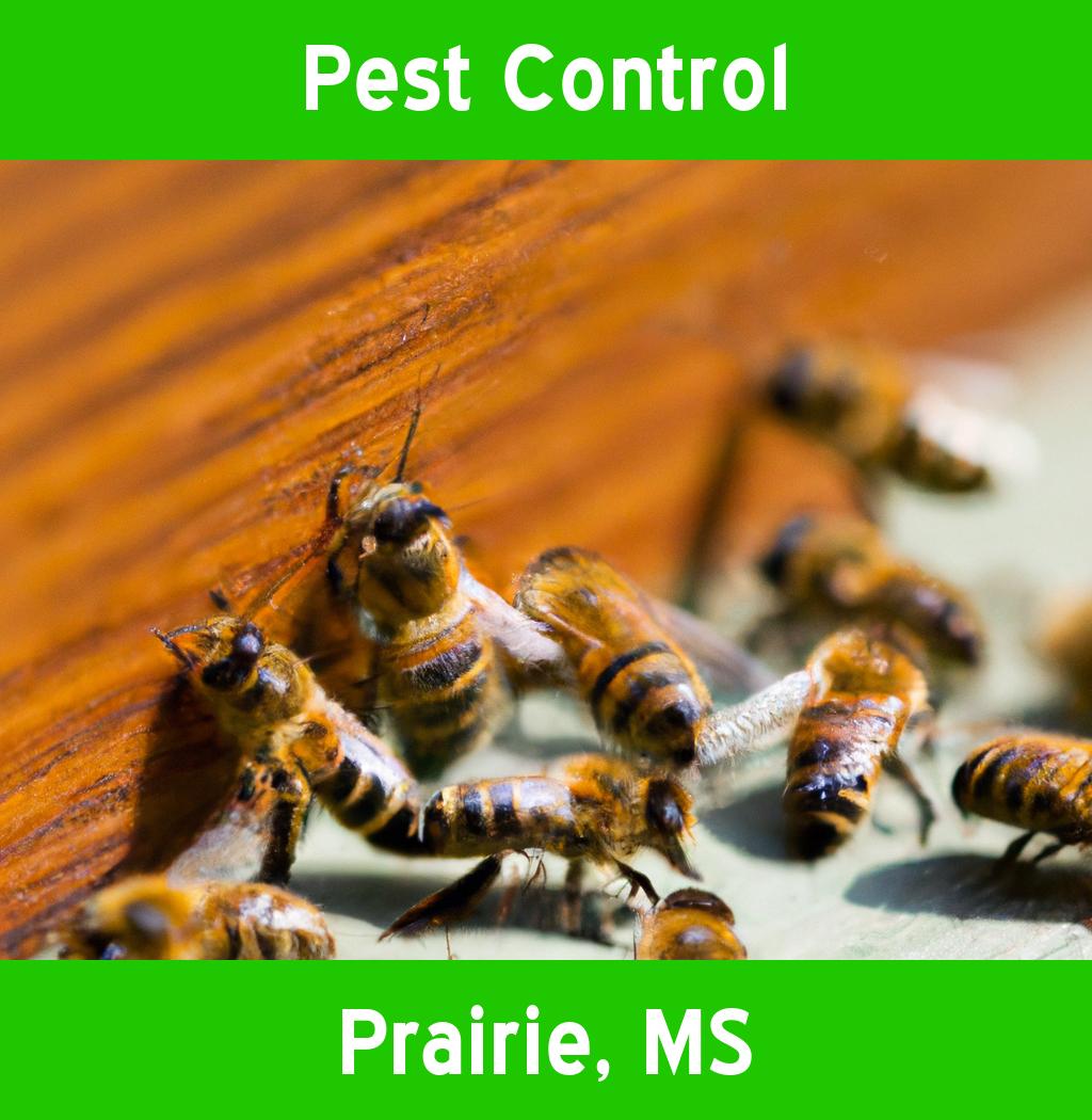 pest control in Prairie Mississippi