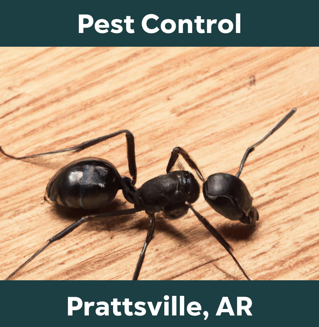 pest control in Prattsville Arkansas