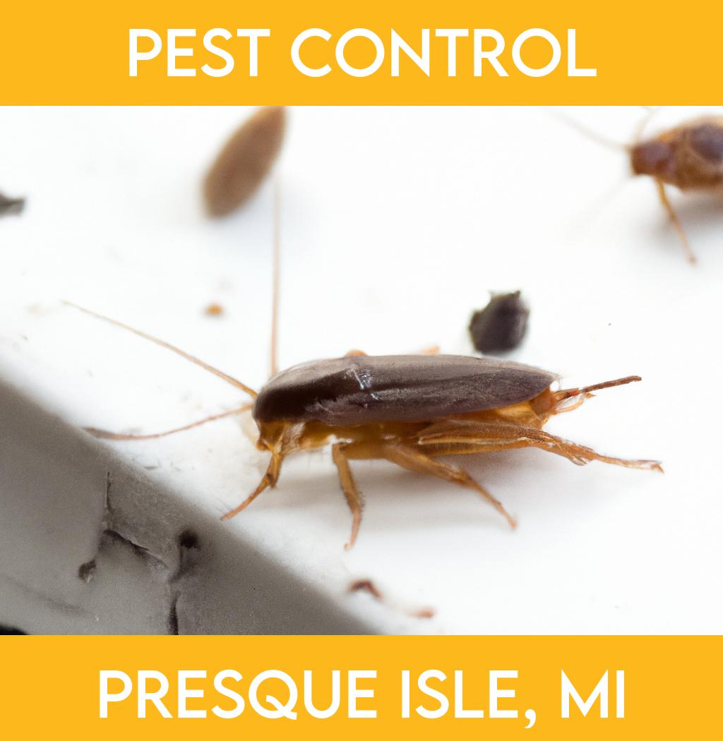 pest control in Presque Isle Michigan