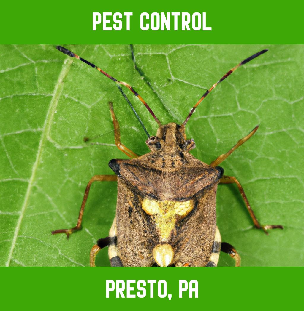 pest control in Presto Pennsylvania