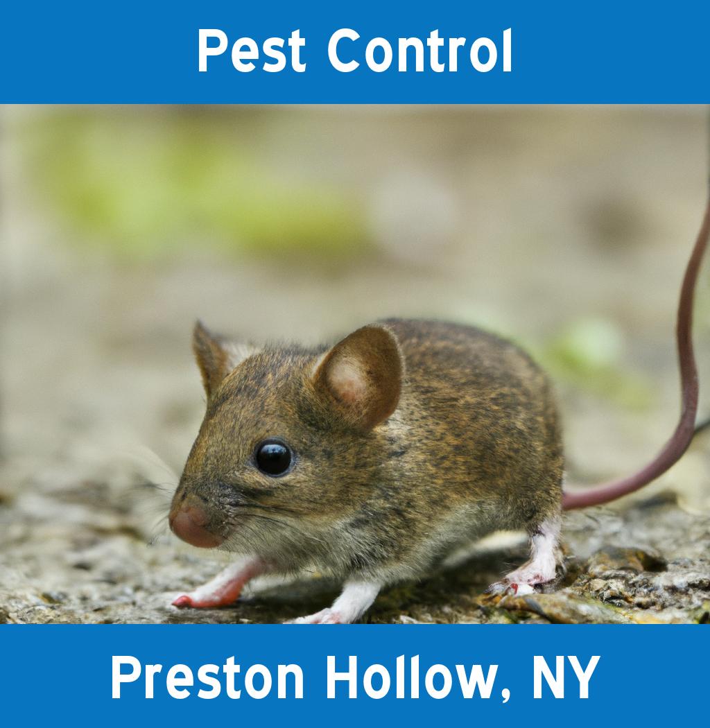 pest control in Preston Hollow New York