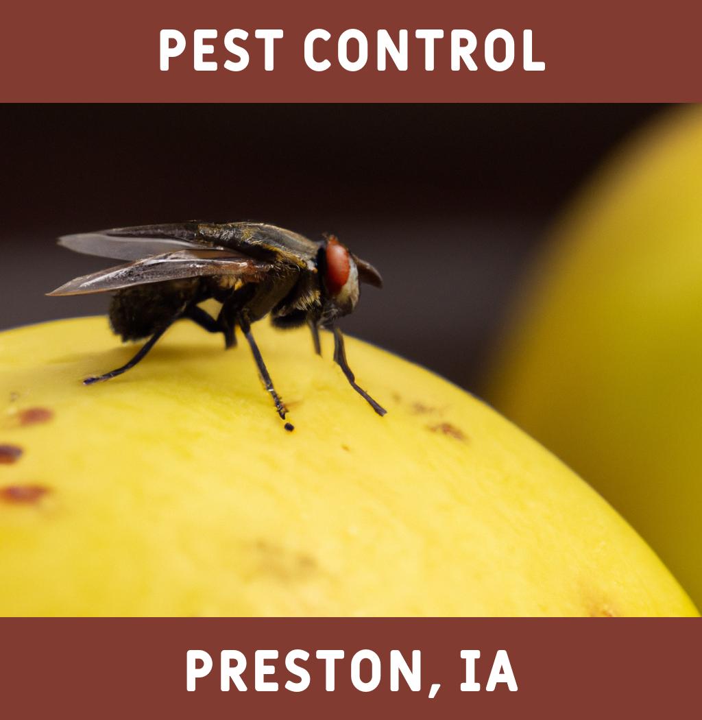 pest control in Preston Iowa