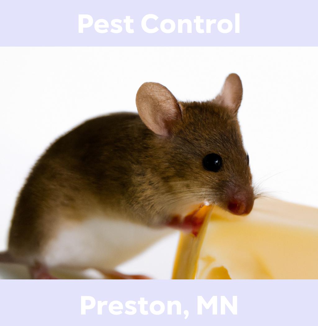 pest control in Preston Minnesota