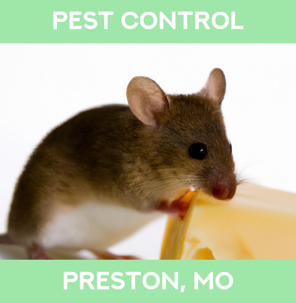 pest control in Preston Missouri
