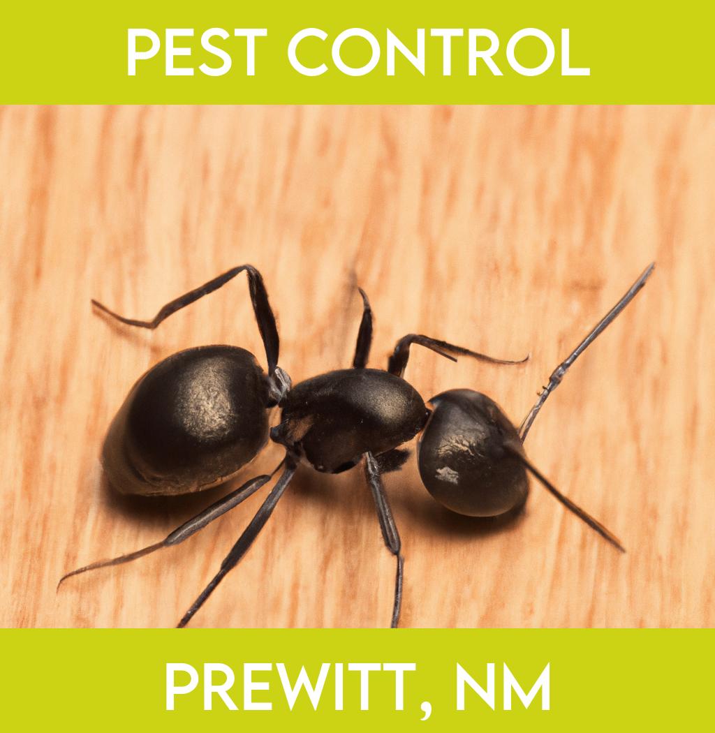 pest control in Prewitt New Mexico
