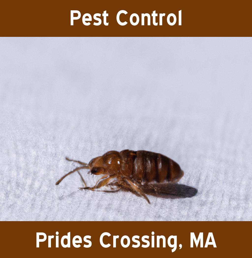pest control in Prides Crossing Massachusetts