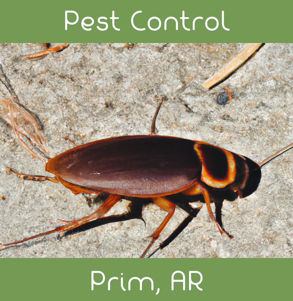 pest control in Prim Arkansas
