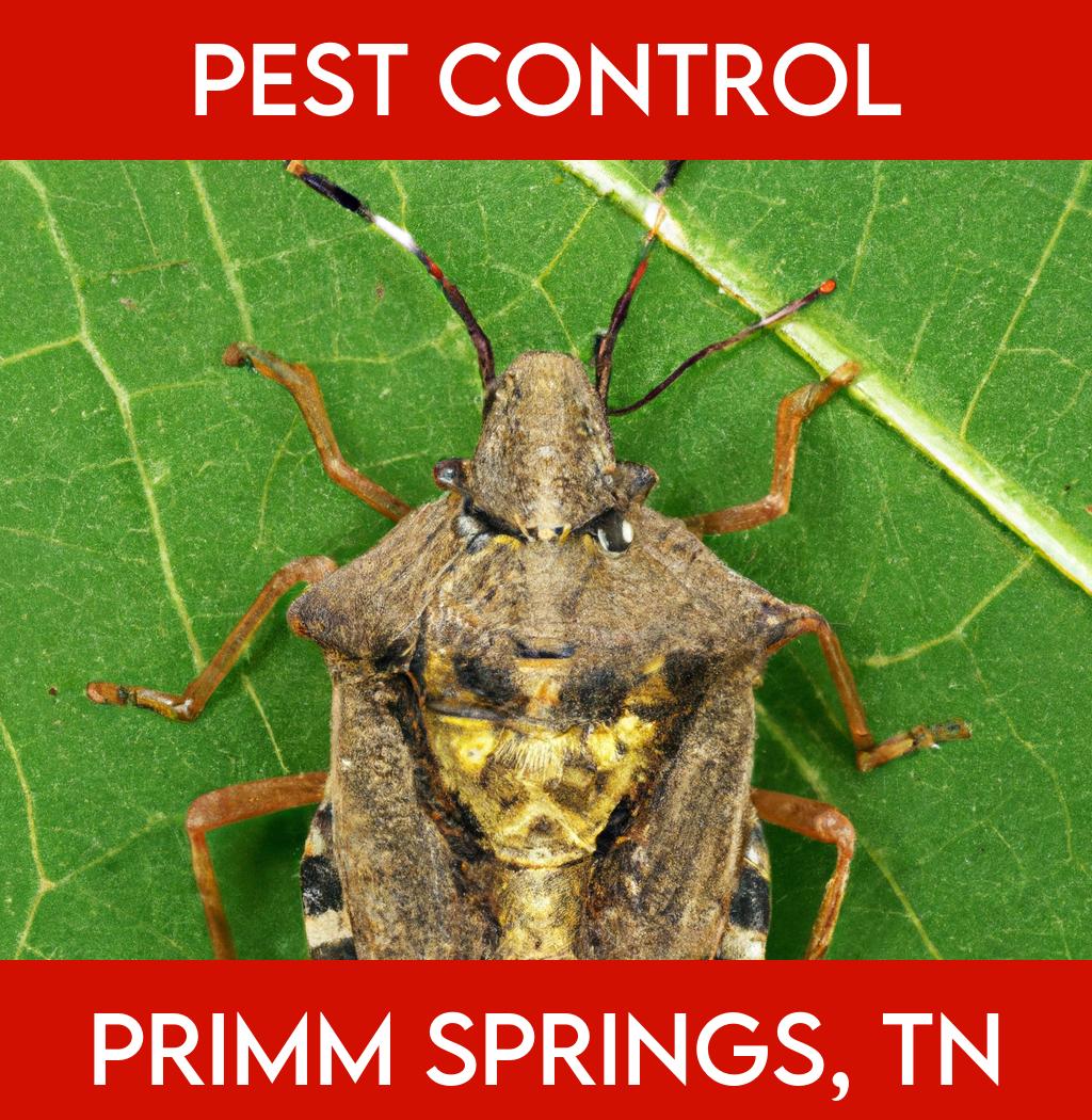 pest control in Primm Springs Tennessee