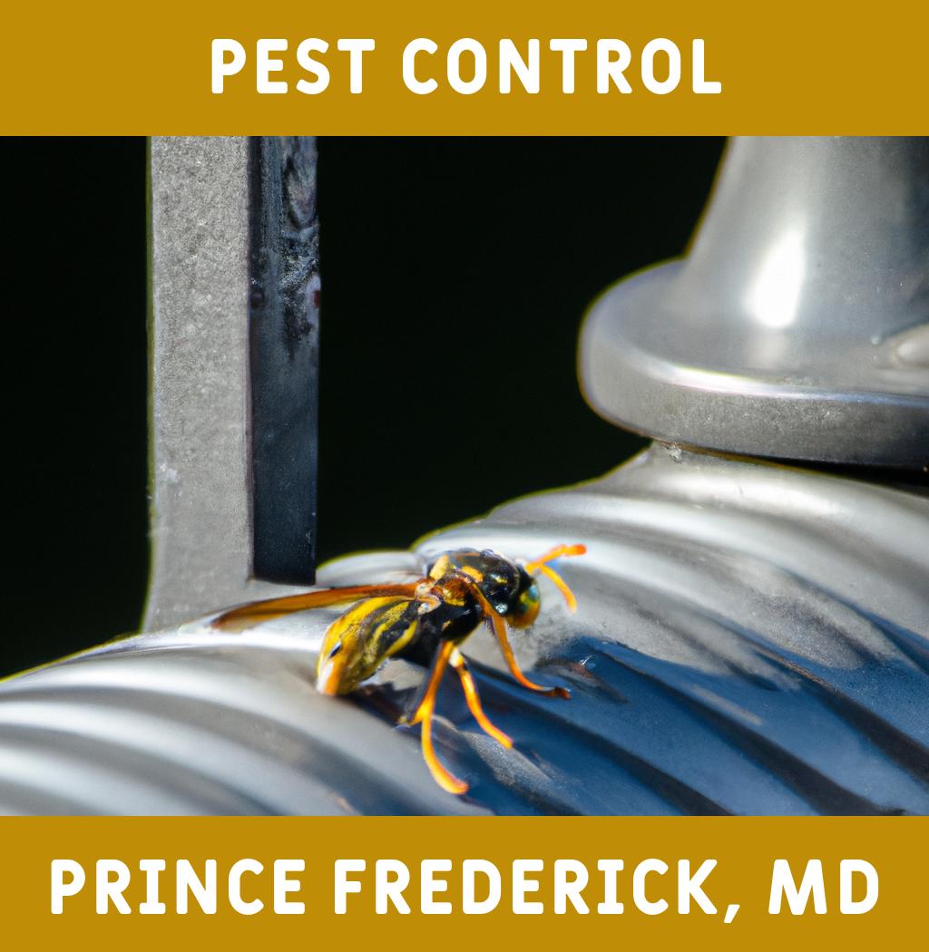 pest control in Prince Frederick Maryland