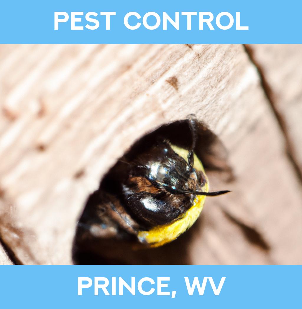 pest control in Prince West Virginia