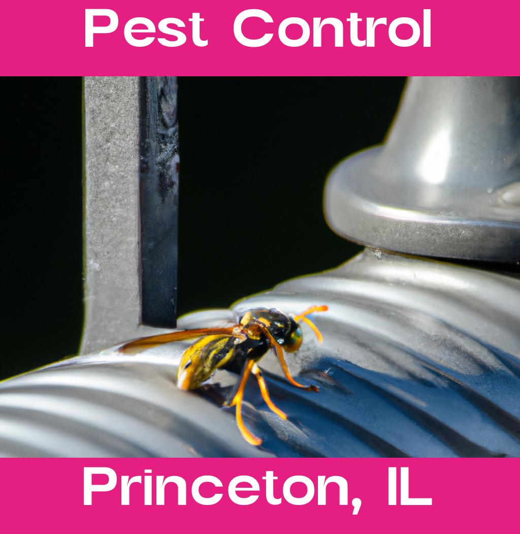 pest control in Princeton Illinois