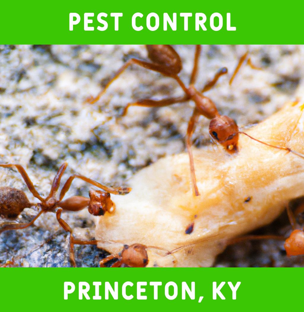 pest control in Princeton Kentucky